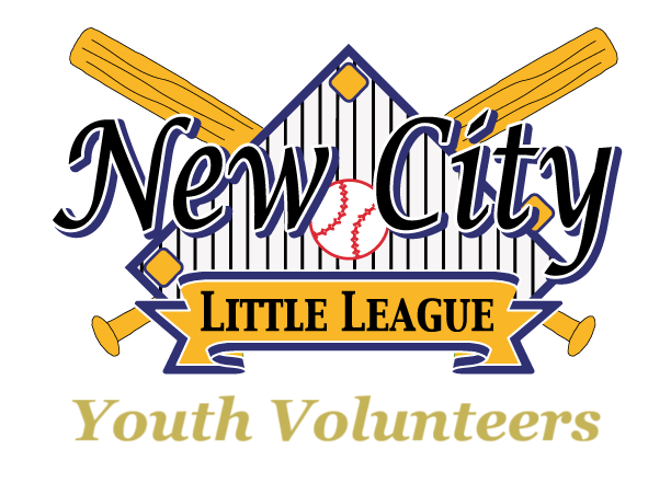 Youth Volunteer